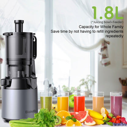 Slow juicer
