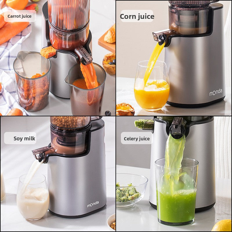 Slow Juicer