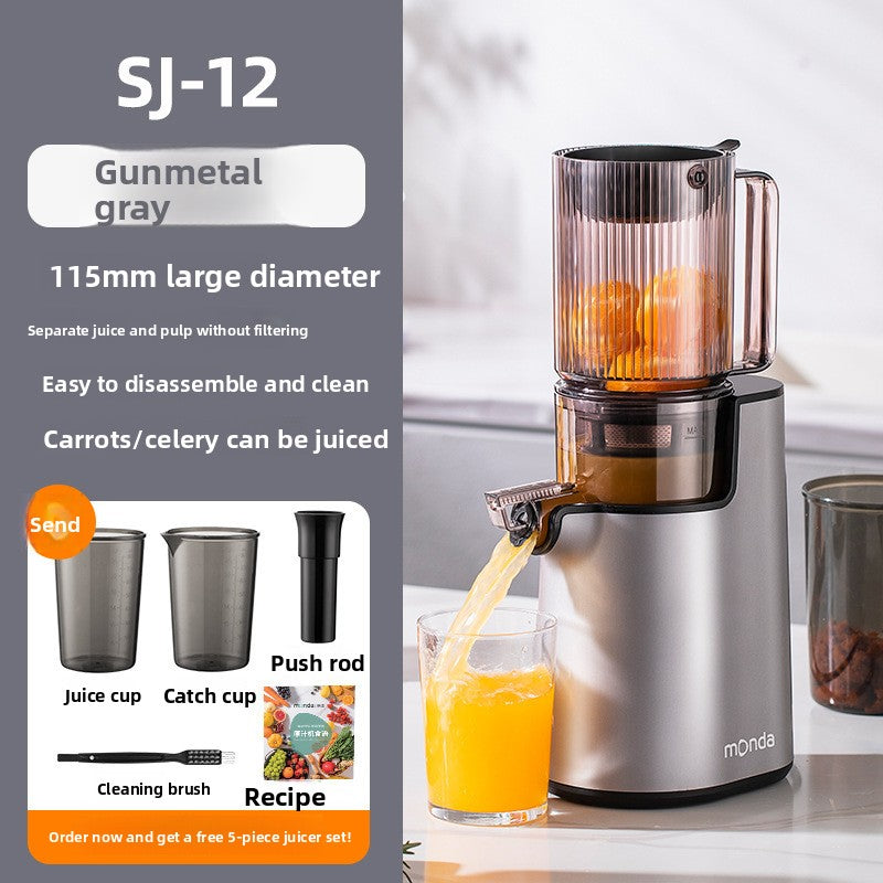 Slow Juicer