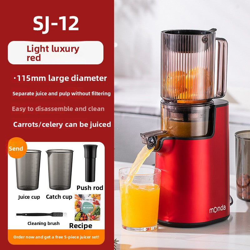 Slow Juicer