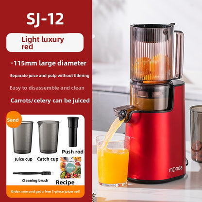 Slow Juicer