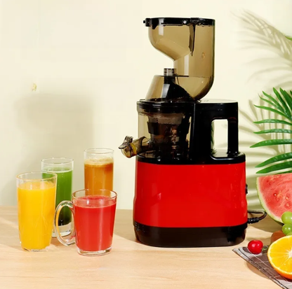 Slow Juicer with Pulp Separation
