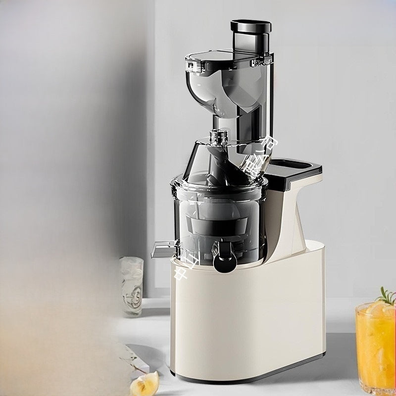 Slow Juicer with Pulp Separation