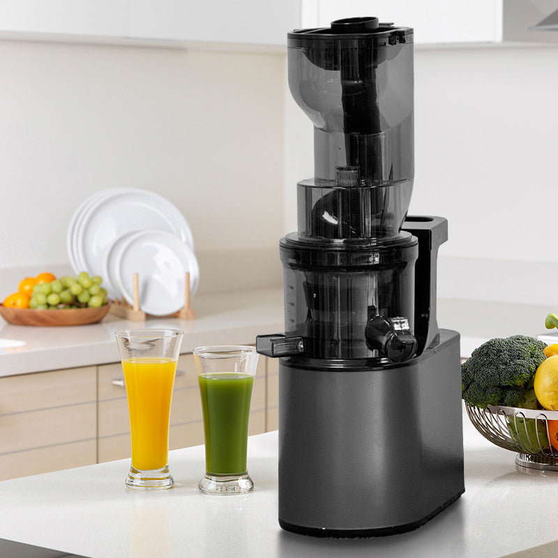 Slow Juicer with Pulp Separation