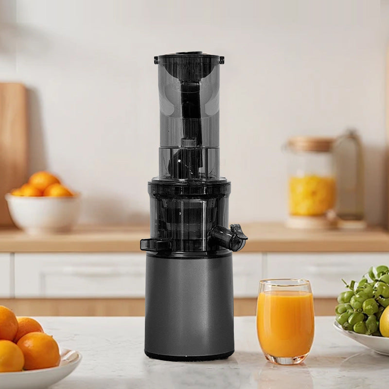 Slow Juicer with Pulp Separation