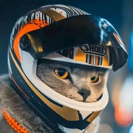 Small Dog Helmet