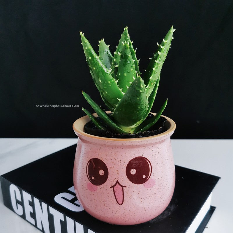 Small Potted Plant