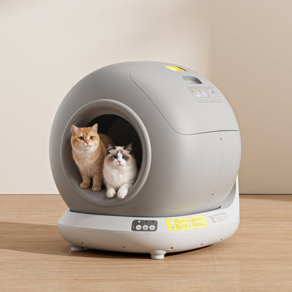 Smart Automatic Cat Litter Box with App Control