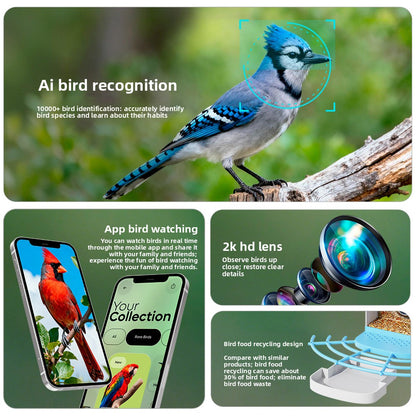 Smart Bird Feeder