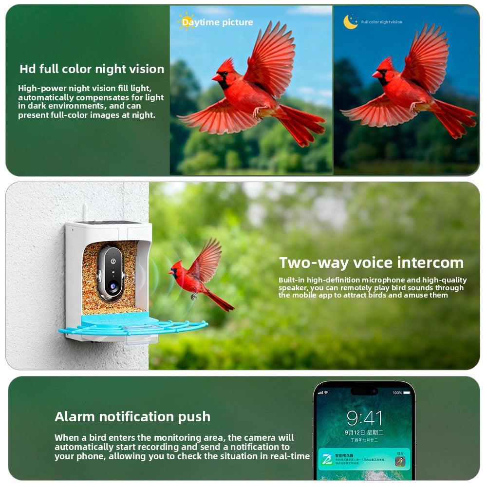 Smart Bird Feeder