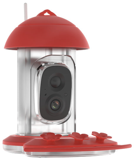 smart bird feeder