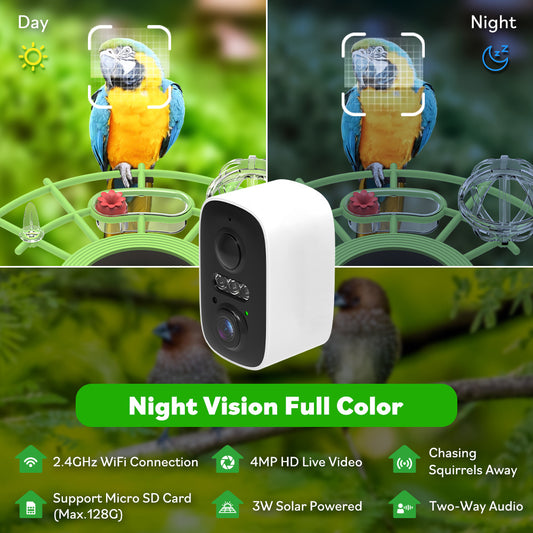 smart bird feeder