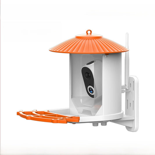 smart bird feeder