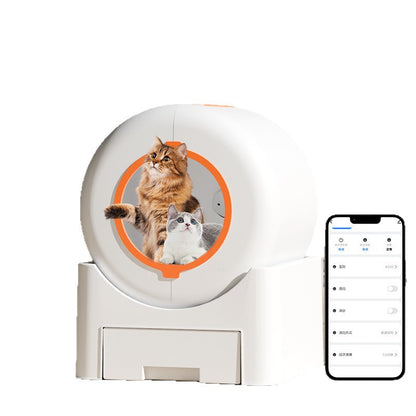 Smart cat litter box