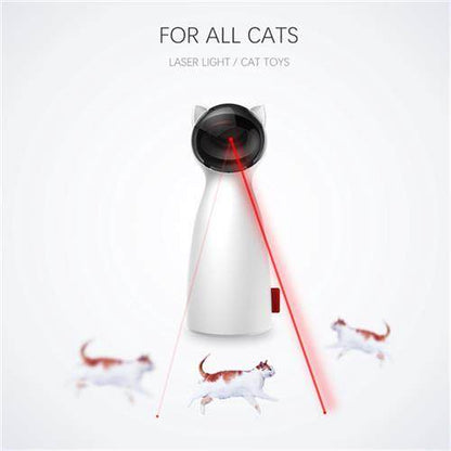 Smart Cat Teaser