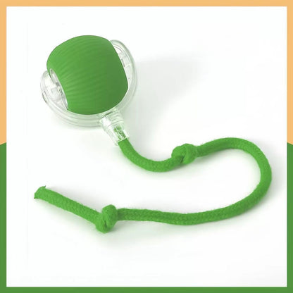 Smart Cat Toy Ball