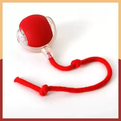 Smart Cat Toy Ball