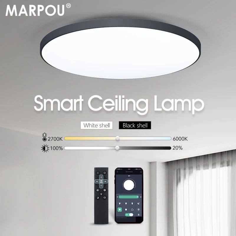 Smart ceiling lamp led lamp