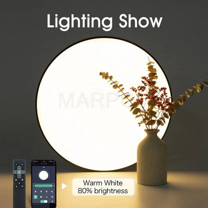 Smart ceiling lamp led lamp