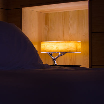 smart desk lamp