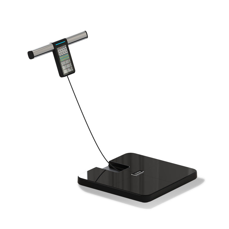 Smart Eight-Electrode Body Fat Scale with Bluetooth and WiFi