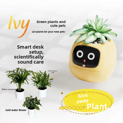 Smart Flower Pot
