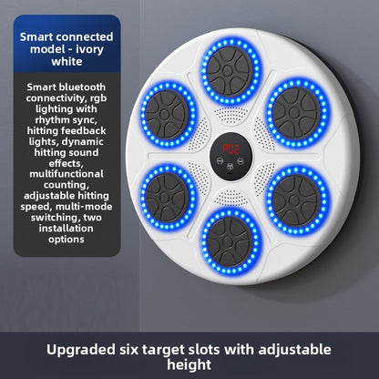 Smart Music Boxing Training Target