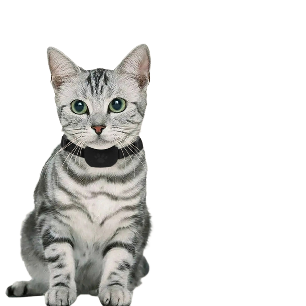 Smart Pet Collar