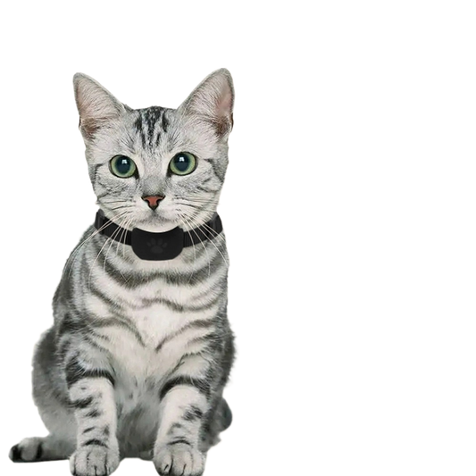 Smart Pet Collar