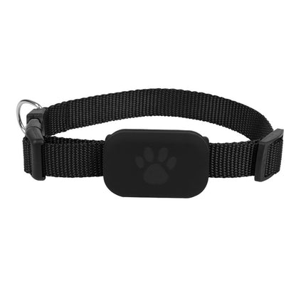Smart Pet Collar