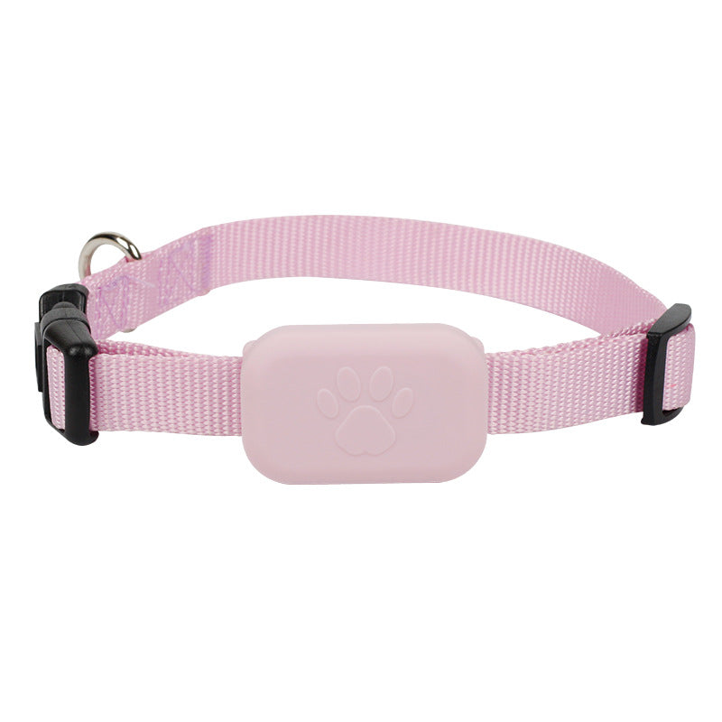 Smart Pet Collar