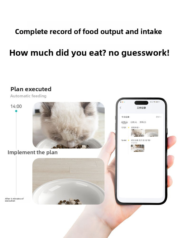Smart Pet Feeder