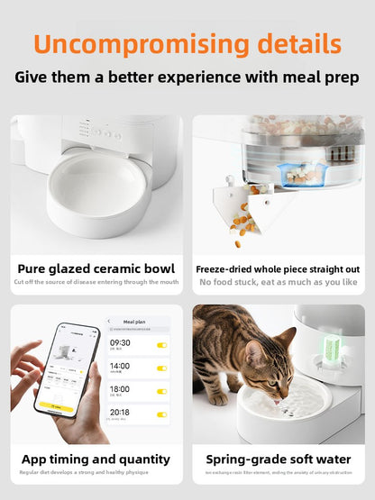 Smart Pet Feeder