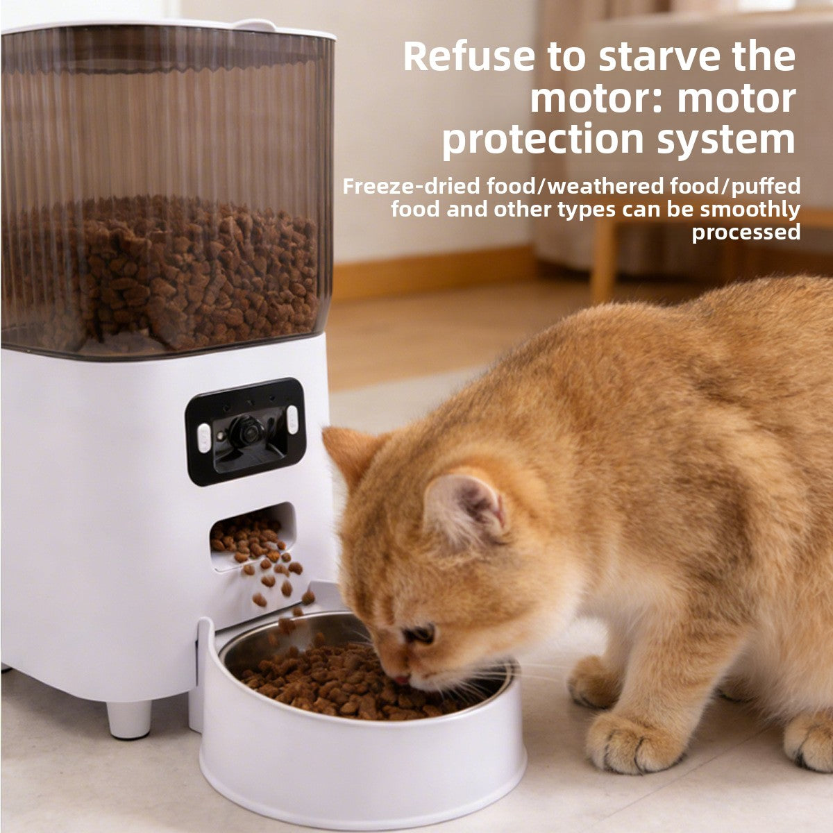 Smart Pet Feeder with App Control and Camera