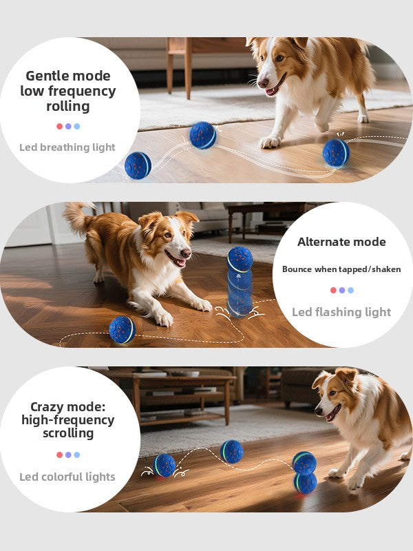 Smart Pet Toy Ball