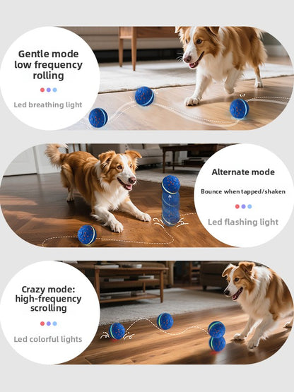 Smart Pet Toy Ball