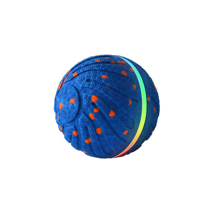 Smart Pet Toy Ball