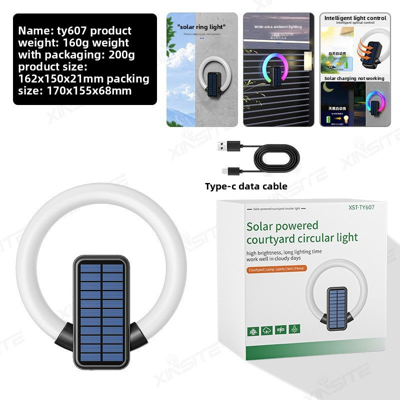 Smart Solar Induction Outdoor Wall Light