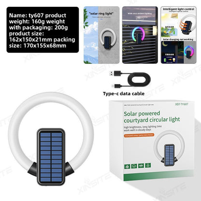 Smart Solar Induction Outdoor Wall Light