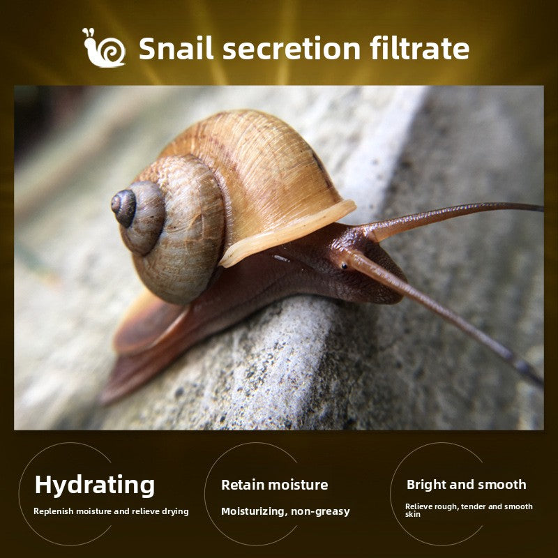 Snail essence moisturizing moisturizing