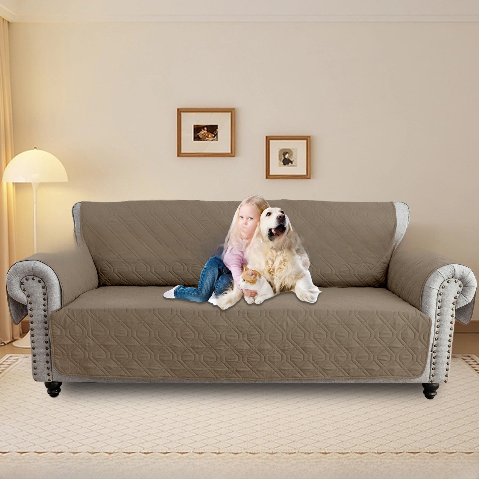 Sofa protective cover
