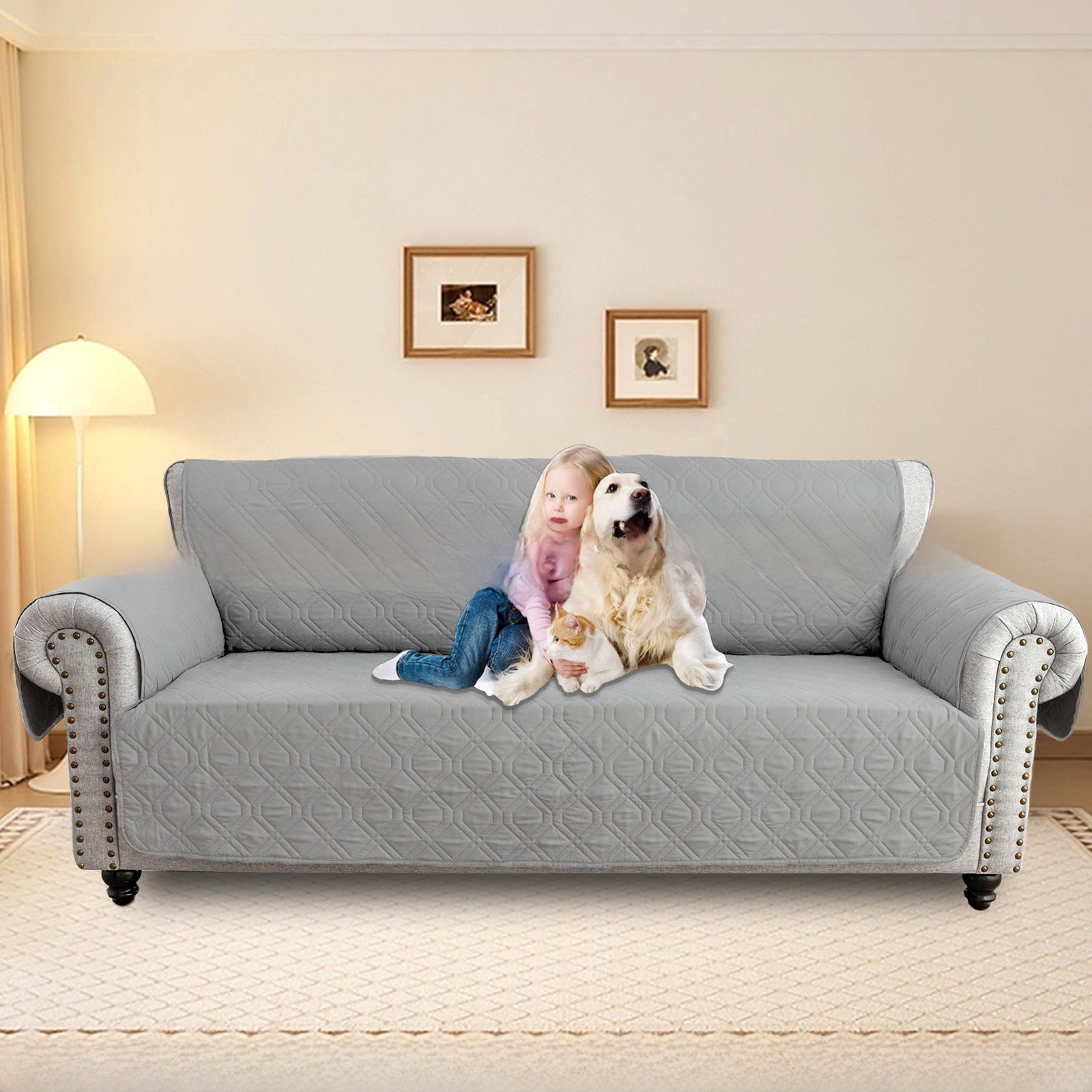 Sofa protective cover