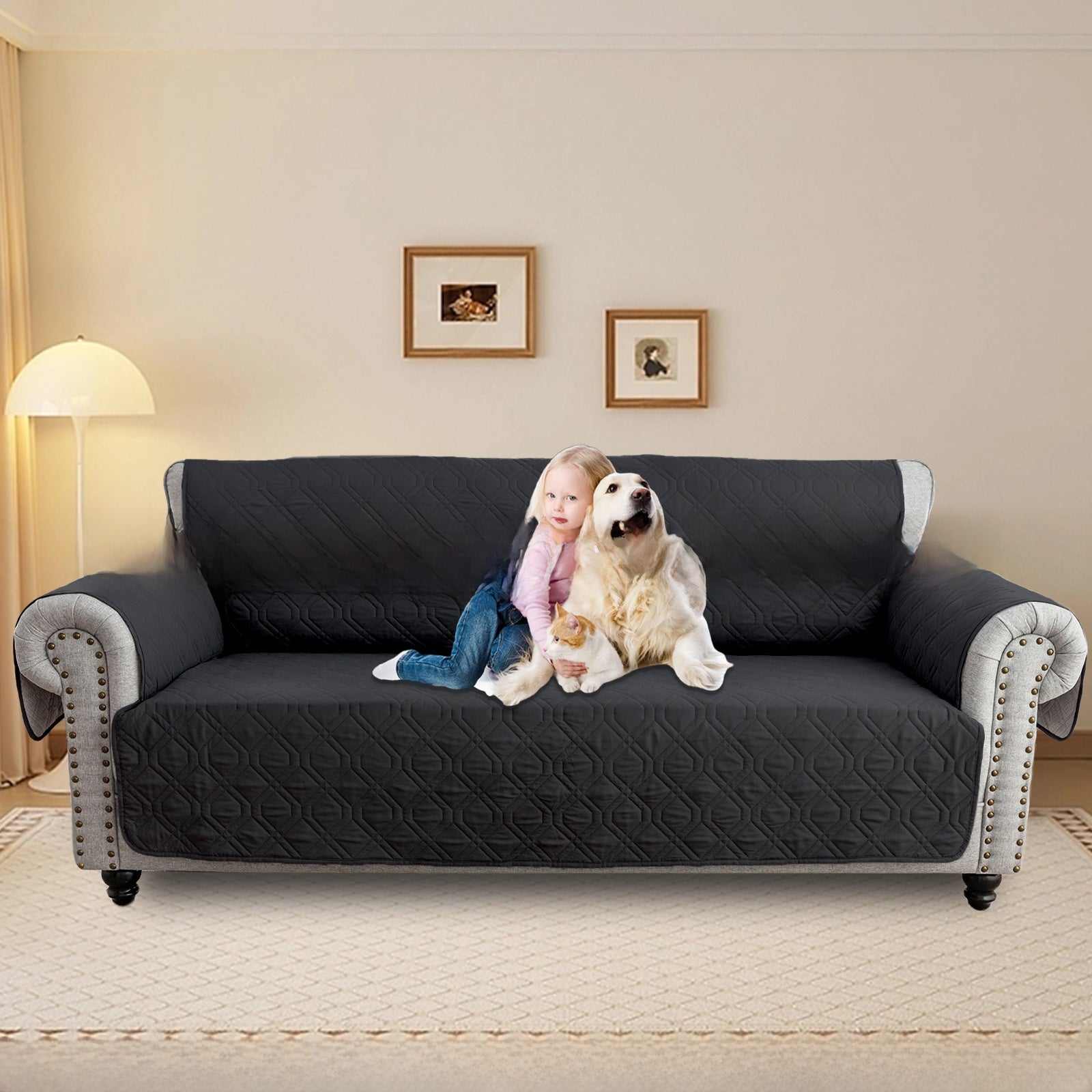 Sofa protective cover
