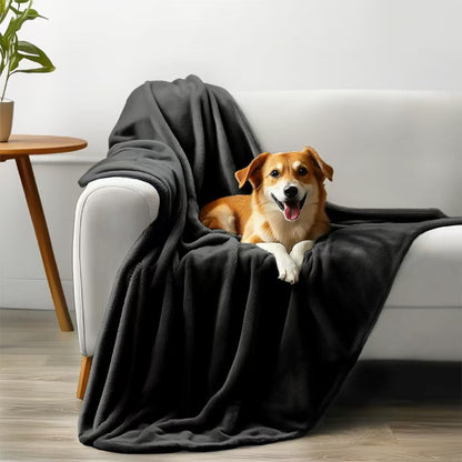Soft Double-Sided Flannel Waterproof Blanket