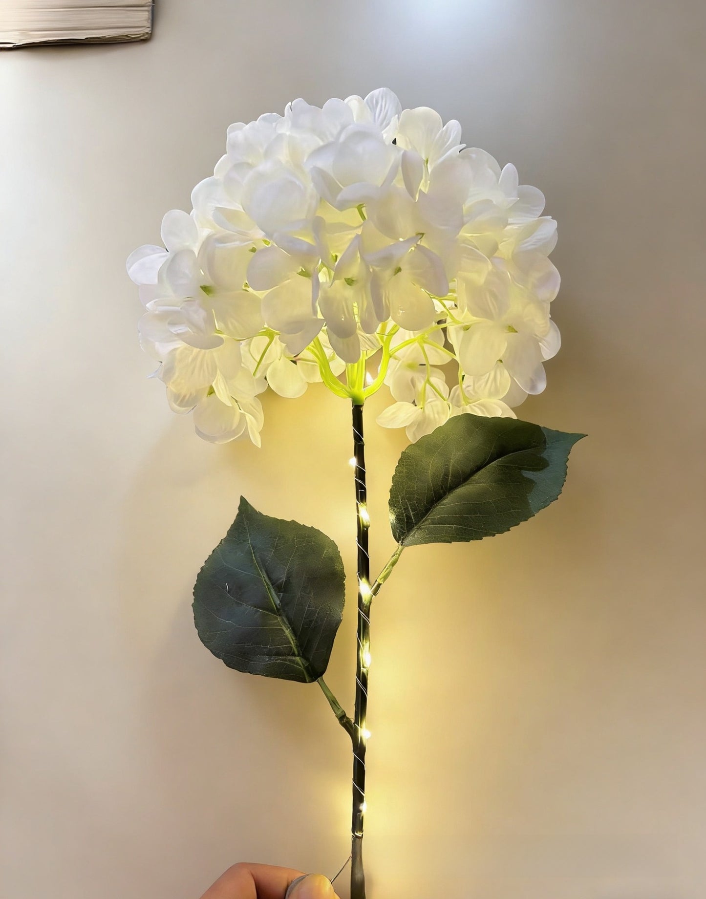 Solar courtyard light
