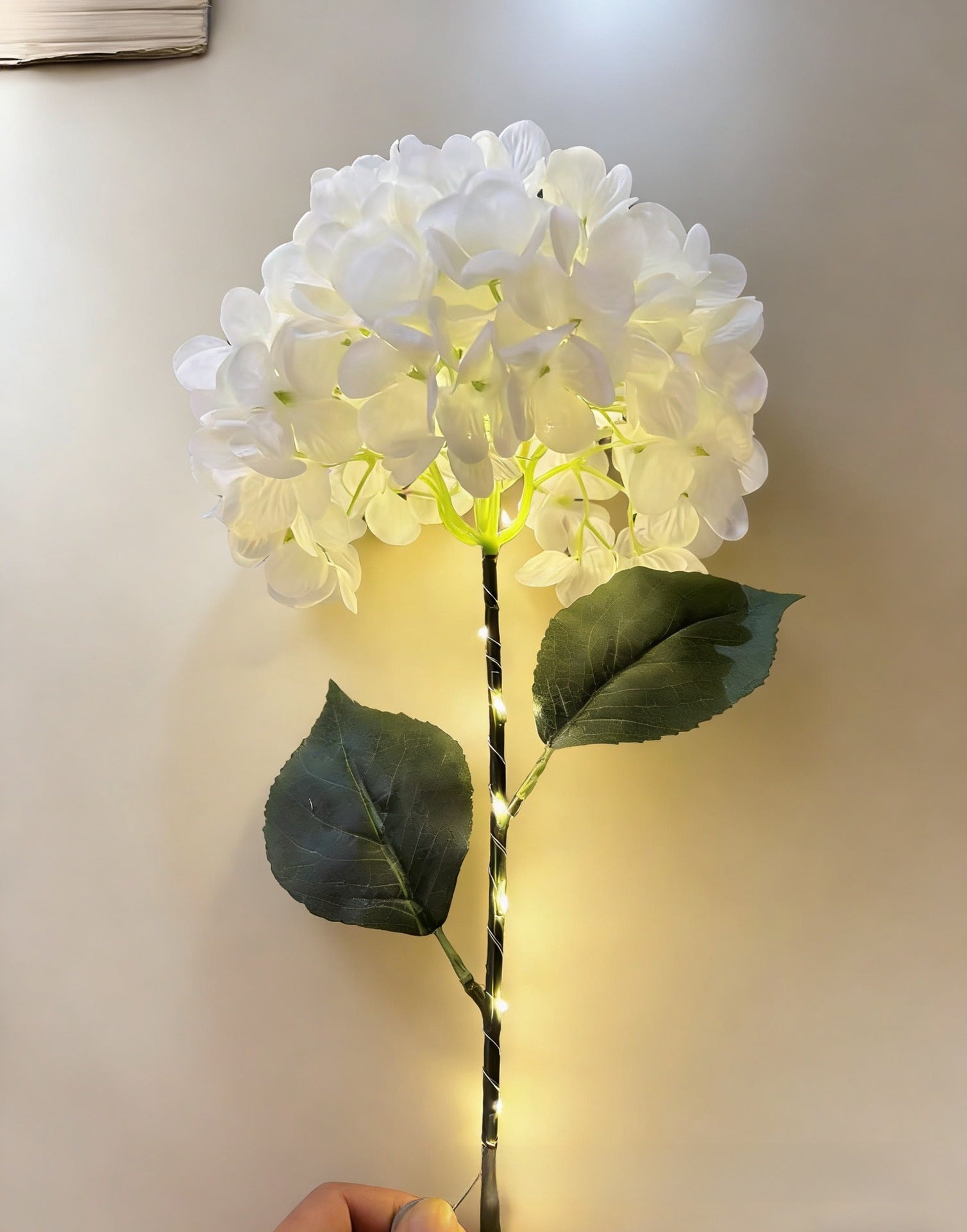Solar courtyard light