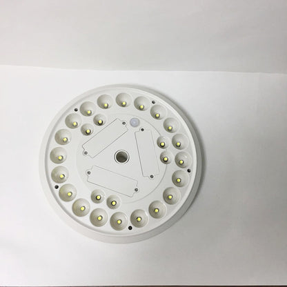 solar flagpole light