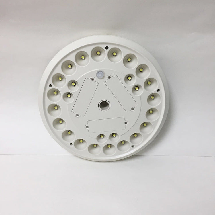 solar flagpole light