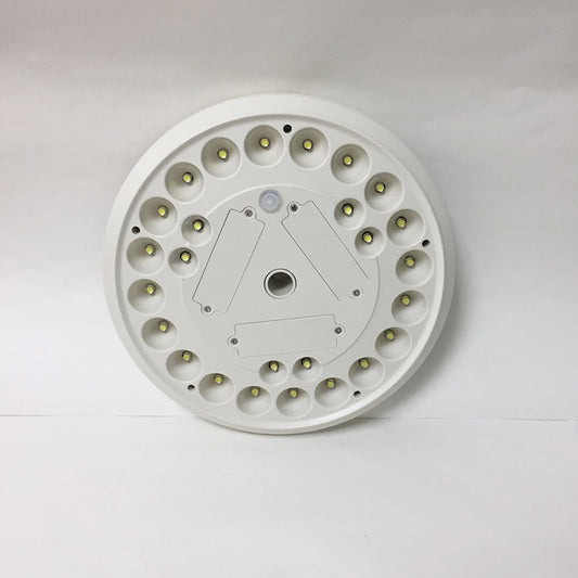 solar flagpole light