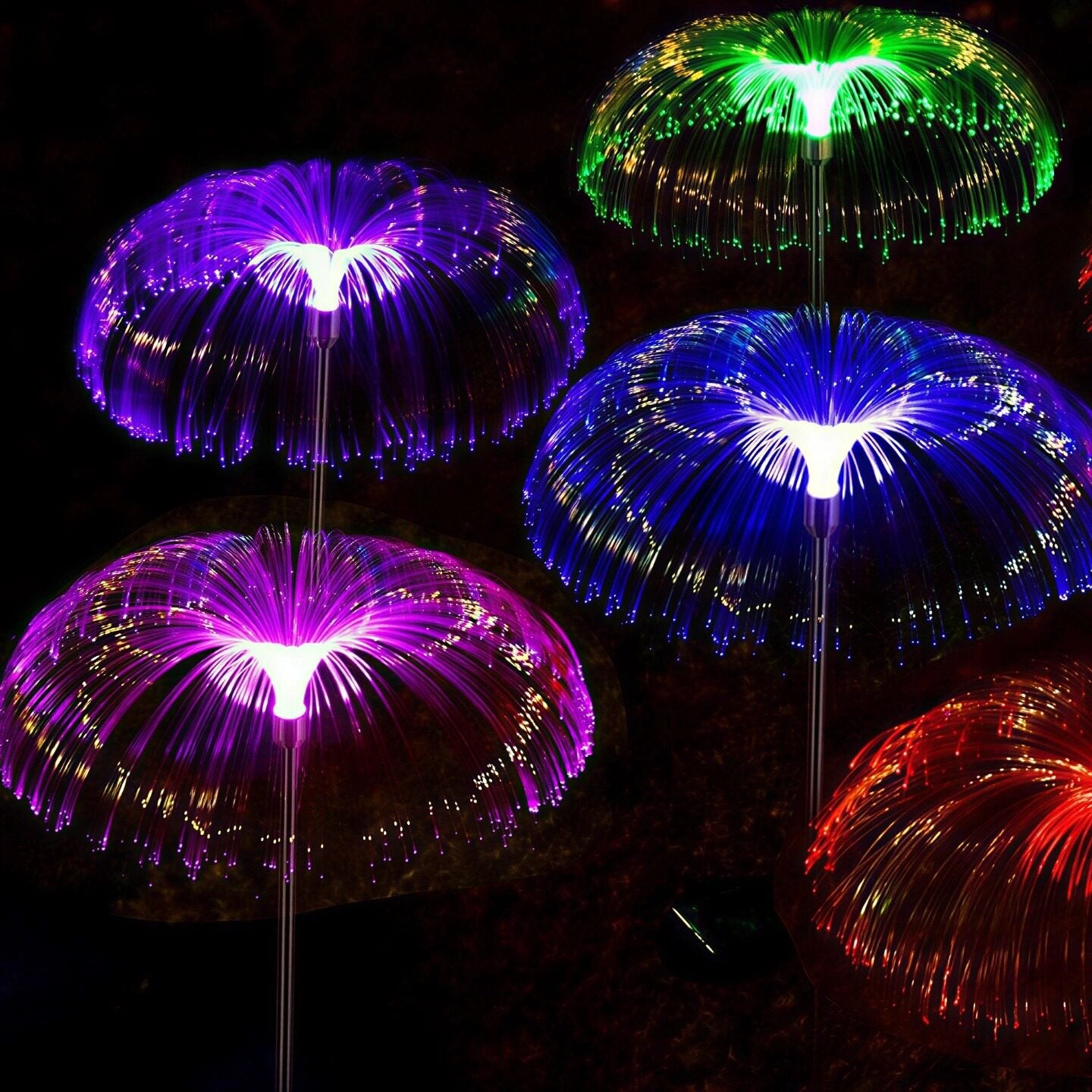 Solar Garden Light